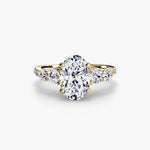 Load image into Gallery viewer, Accents Brilliante